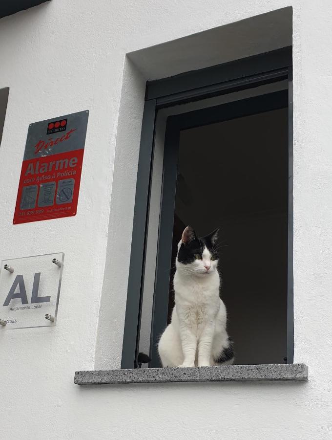 Apartamento Caminhos Nos Levam Pela Ilha Ponta Delgada Exterior foto